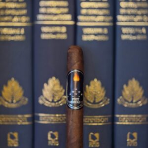 The Vanguard – Maduro